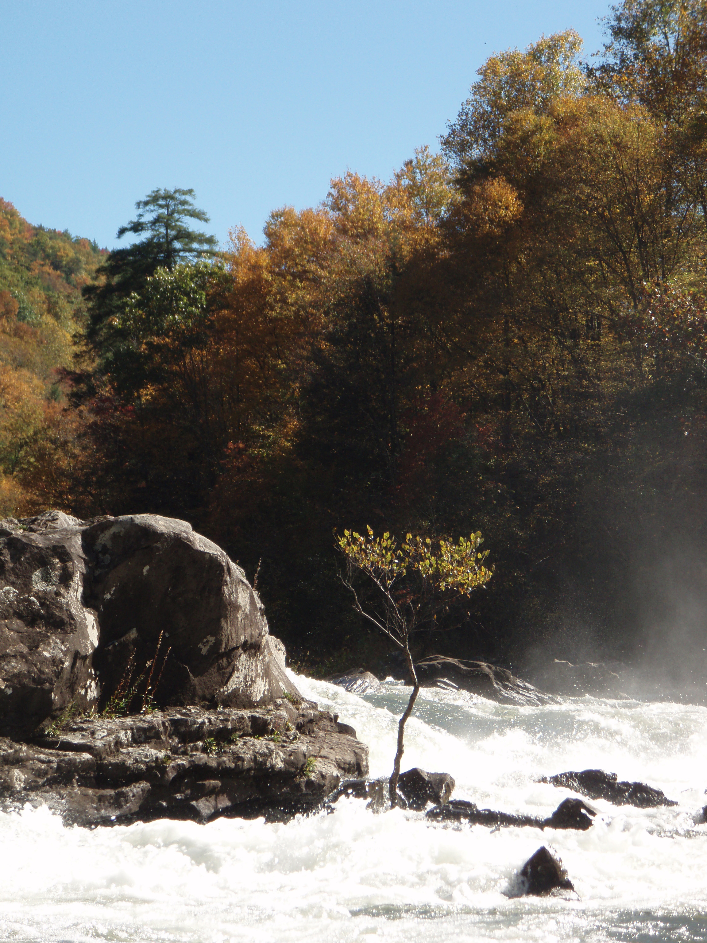 Gauley River, United States Tourist Information